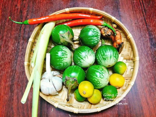 Combo 4 gói hạt giống cà (cà bát da ếch + bát trắng + pháo trắng + bát tím )
