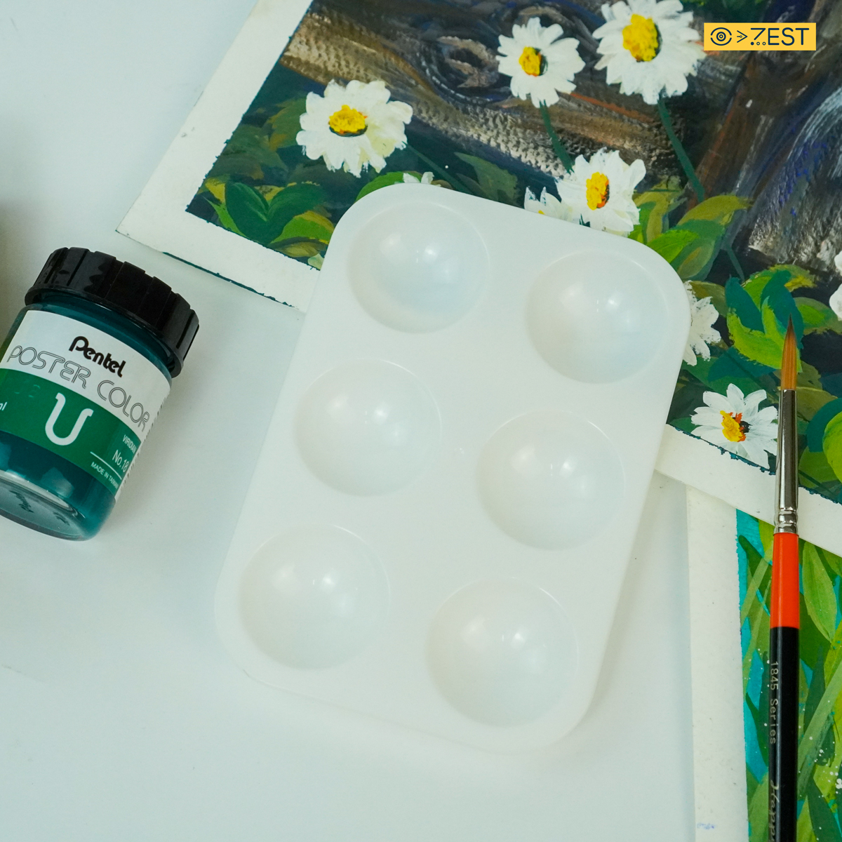 [Zest Corner] Vỉ pha màu nhỏ