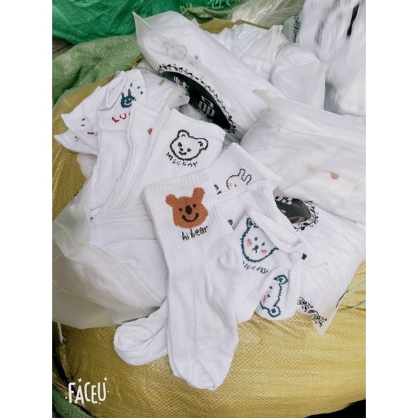 [FreeshipMAX] Set 10 đôi tất trắng in hình gấu thỏ cute