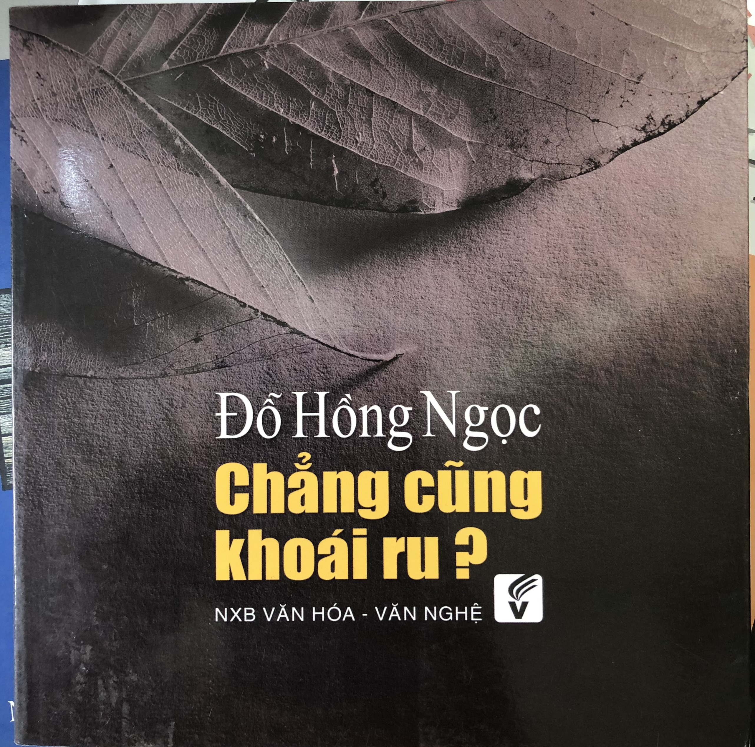 Nxbhcm - sách chẳng cũng khoái ru - đỗ hồng ngọc