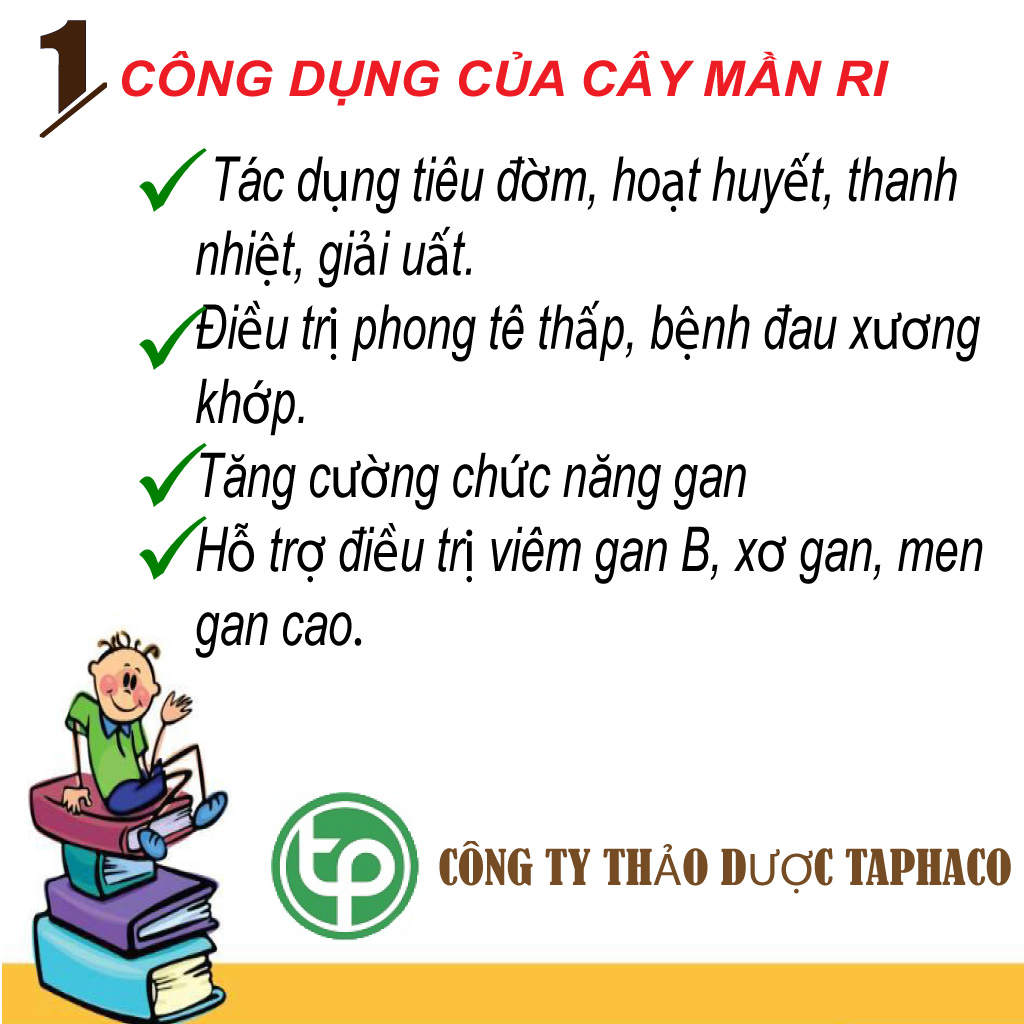 Cây mần ri khô 1kg (thơm sạch) - Hàng sạch chuyên dùng để pha trà và sắc lấy nước uống