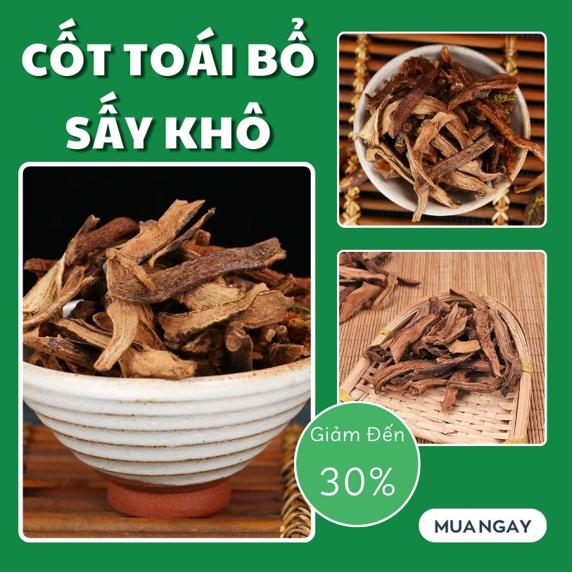 [Hàng mới về] Tắc kè đá (cốt toái bổ) sấy khô 500g - Thảo Dược Tấn Phát - Hỗ trợ bồi bổ gân cốt - giúp hoạt hu.yết và b.ổ m.áu cực tốt - chuyên dùng để sắc nước và pha trà