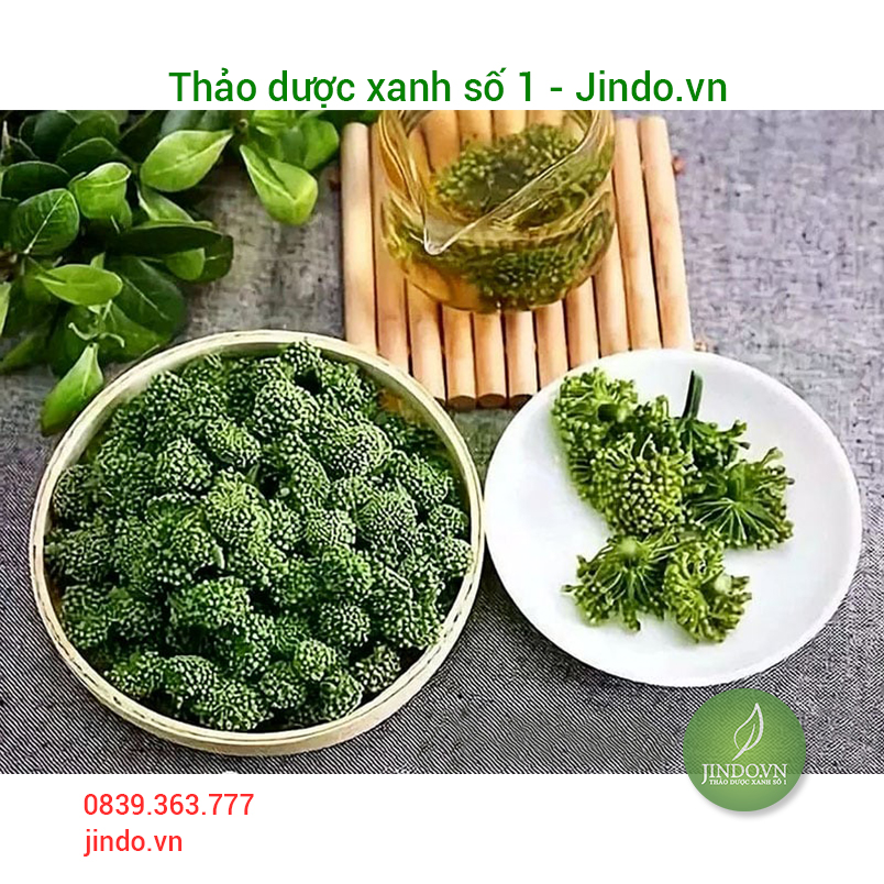Nụ hoa tam thất loại thượng hạng