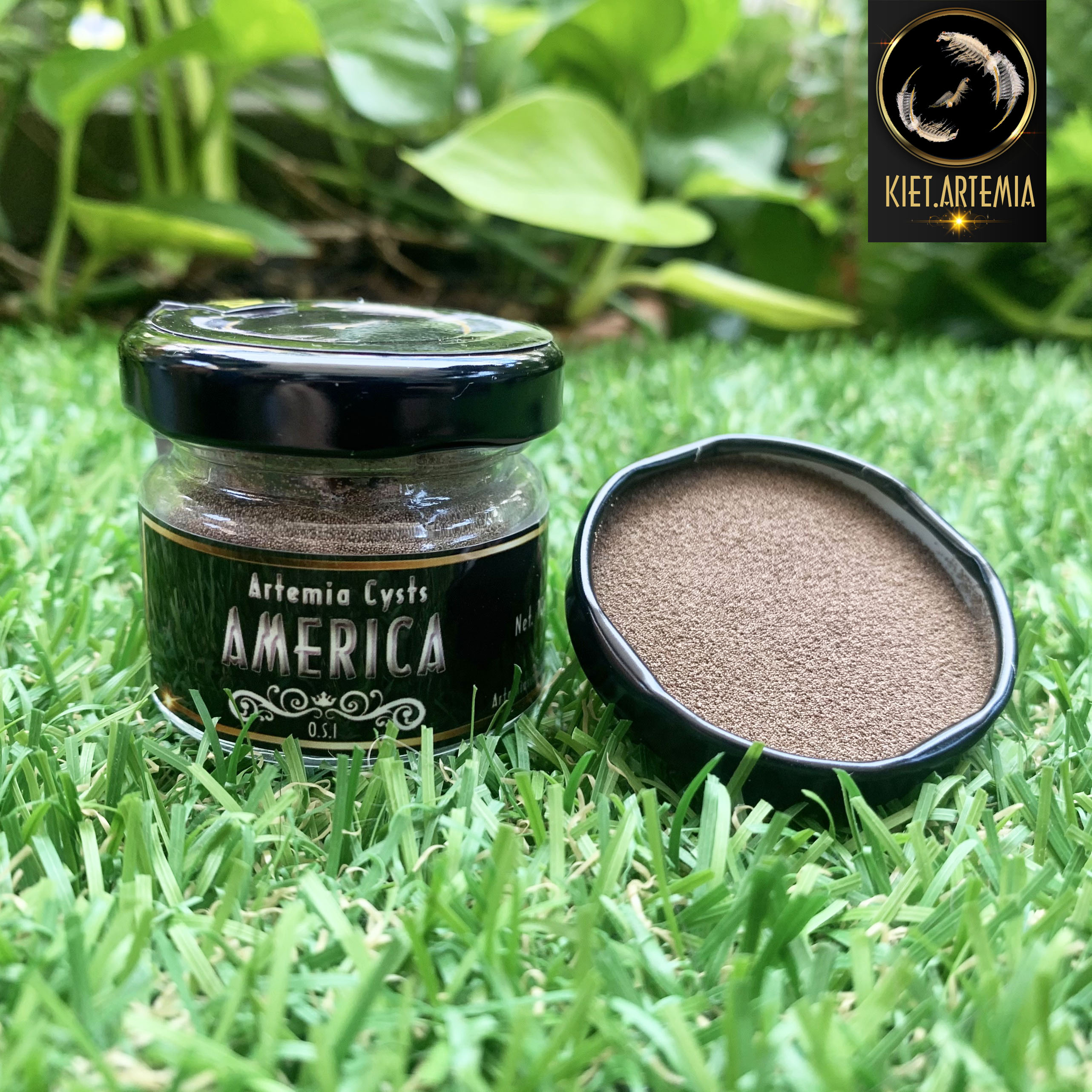 Trứng Artemia Mỹ Chất Lượng Quốc Tế 10g