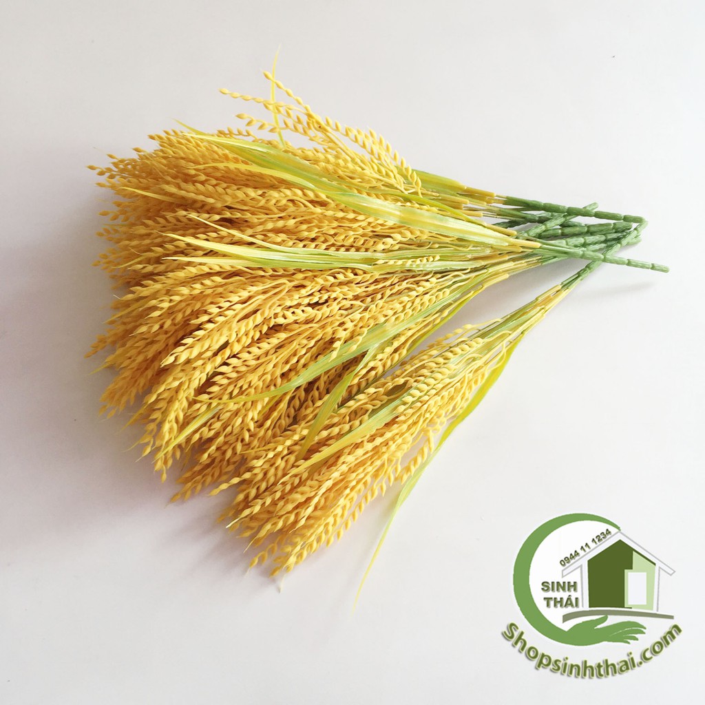 [HCM]Bụi cây bông lúa vàng - cây hoa giả cao cấp