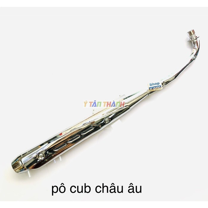Pô xe cub châu âu