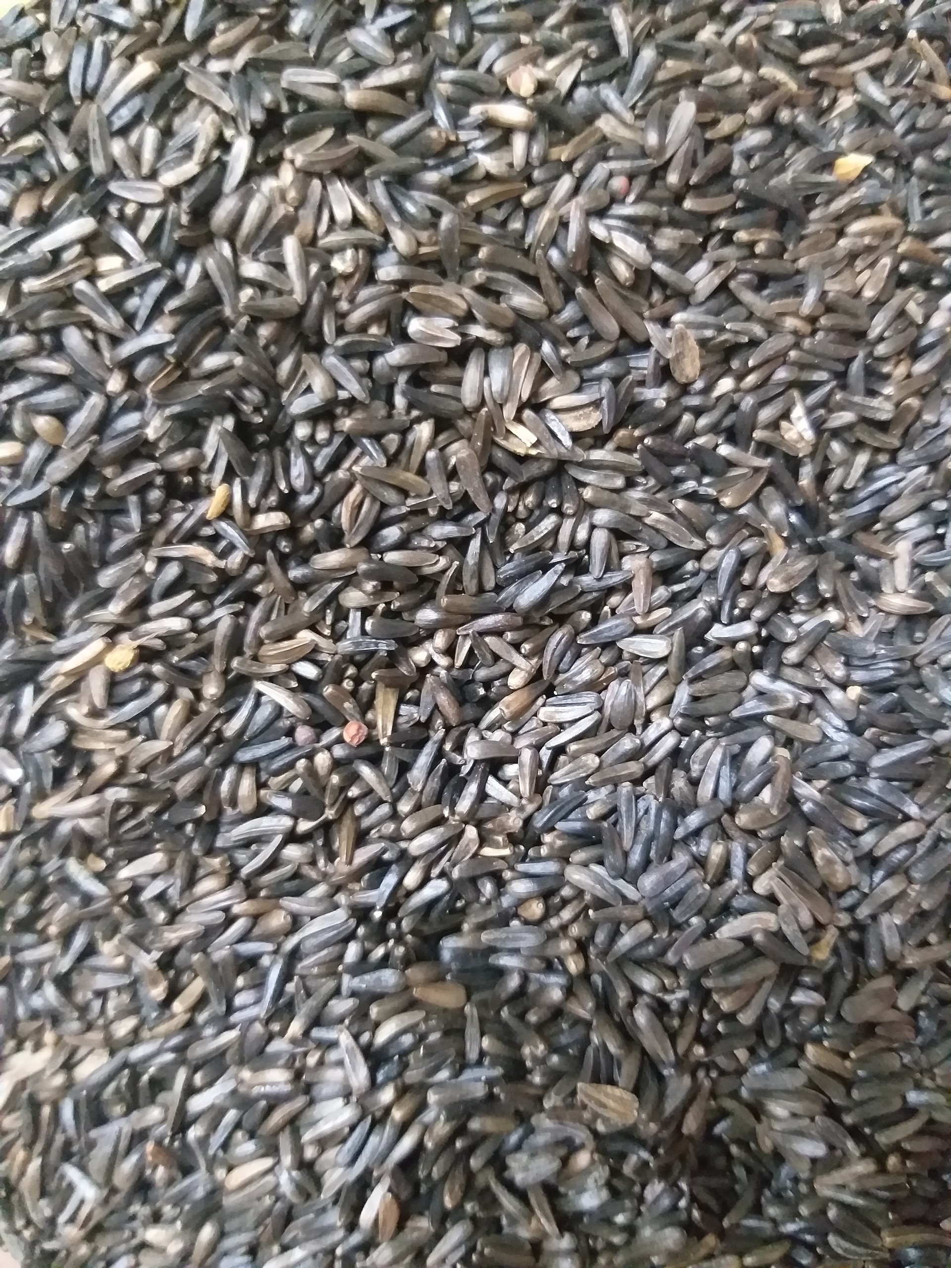 hạt Niger gói 200g