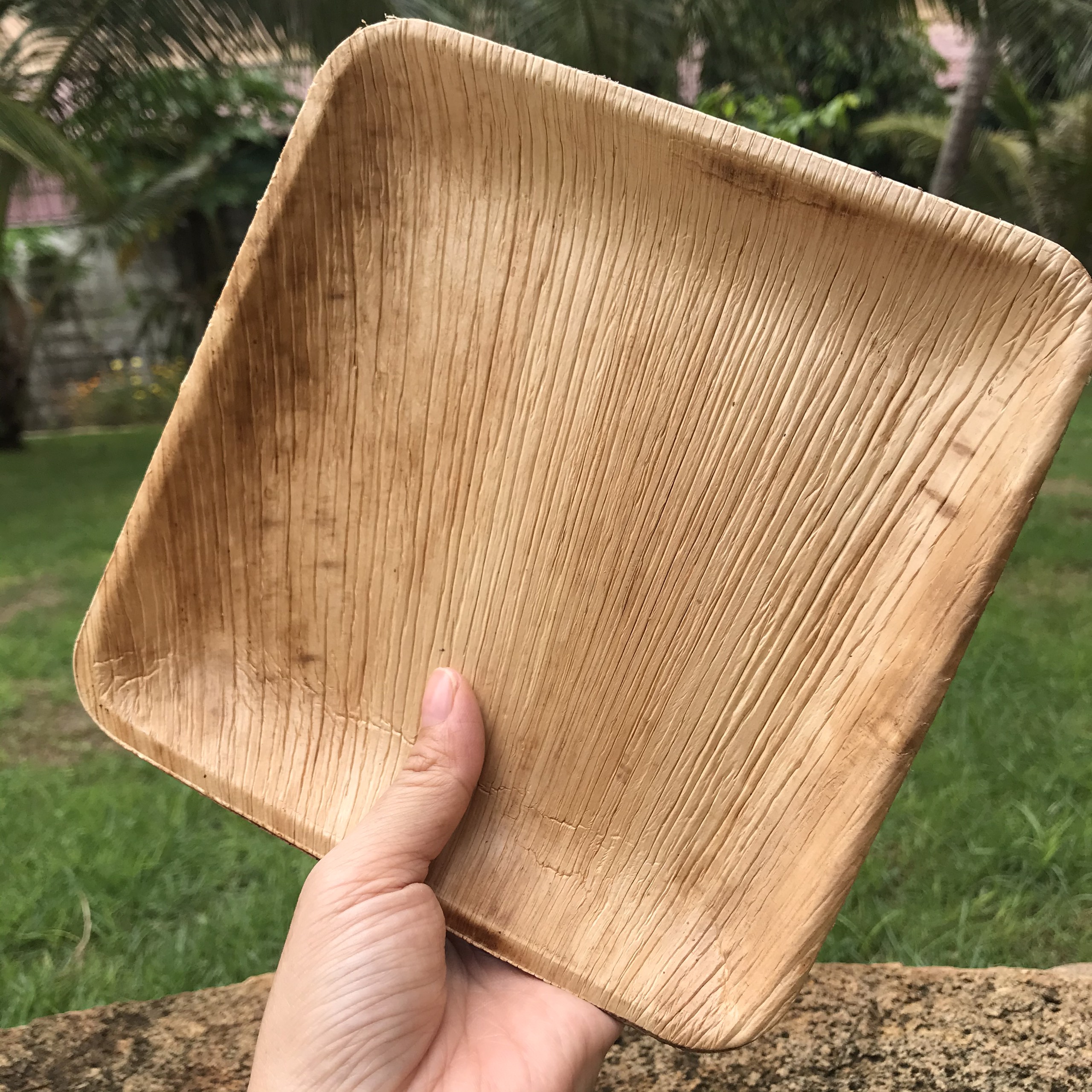 COMBO MINI : CHÉN DĨA MO CAU ĐẸP