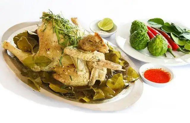Cây giống Cây Chúc - CayGiongTot