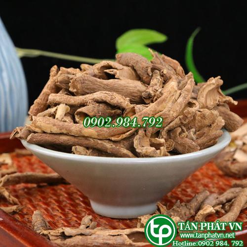 [TÚI LỚN 1KG]Ngũ gia bì sấy khô hàng công ty chất lượng cao - chuyên dùng để hỗ trợ cải thiện tình trạng đau nhứt xương khớp - Thảo Dược Tấn Phát