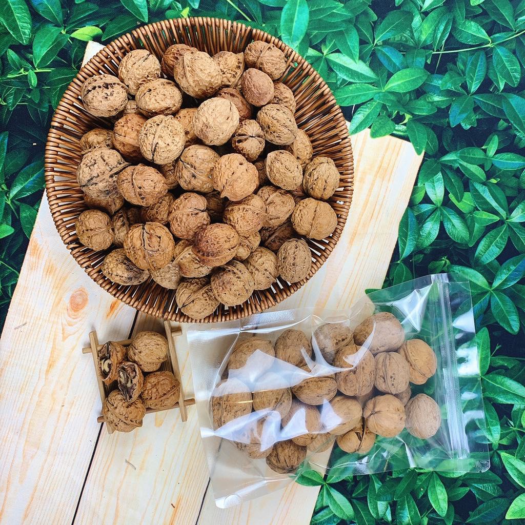 (1KG) ÓC CHÓ VÀNG ĐẶC SẢN SAPA NGUYÊN VỎ