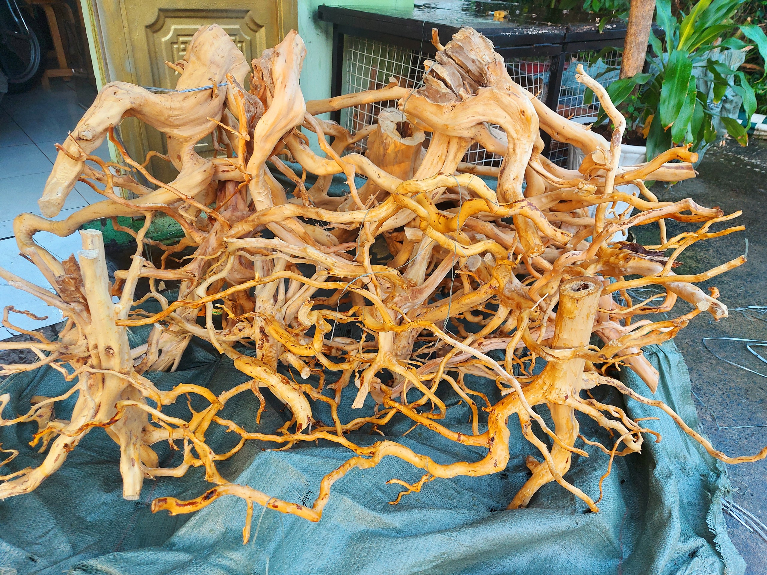 LŨA NHÁNH ĐỖ QUYÊN TRANG TRÍ HỒ CÁ THUỶ SINH 1KG