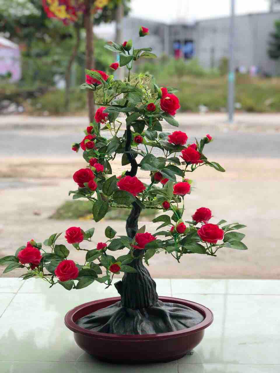 Hoa hồng hoa mai ( có chậu)