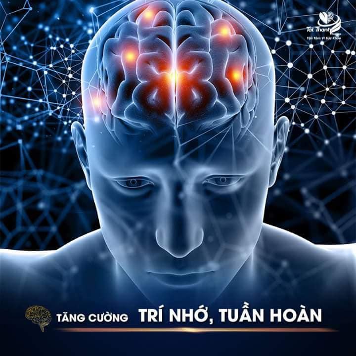 BỔ NÃO ÍCH TRÍ GOLD - 60 viên