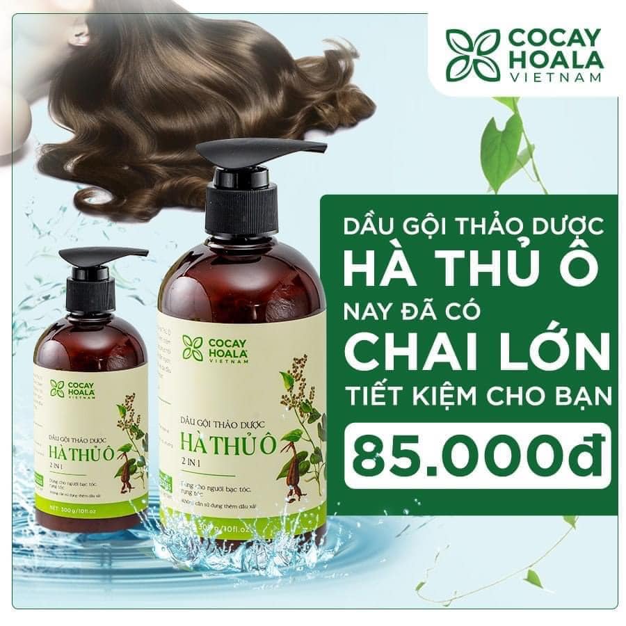 Combo Dầu gội phủ bạc Lich5 + Dầu gội đen tóc hà thủ ô [cặp đôi hoàn hảo cho ng tóc bạc]