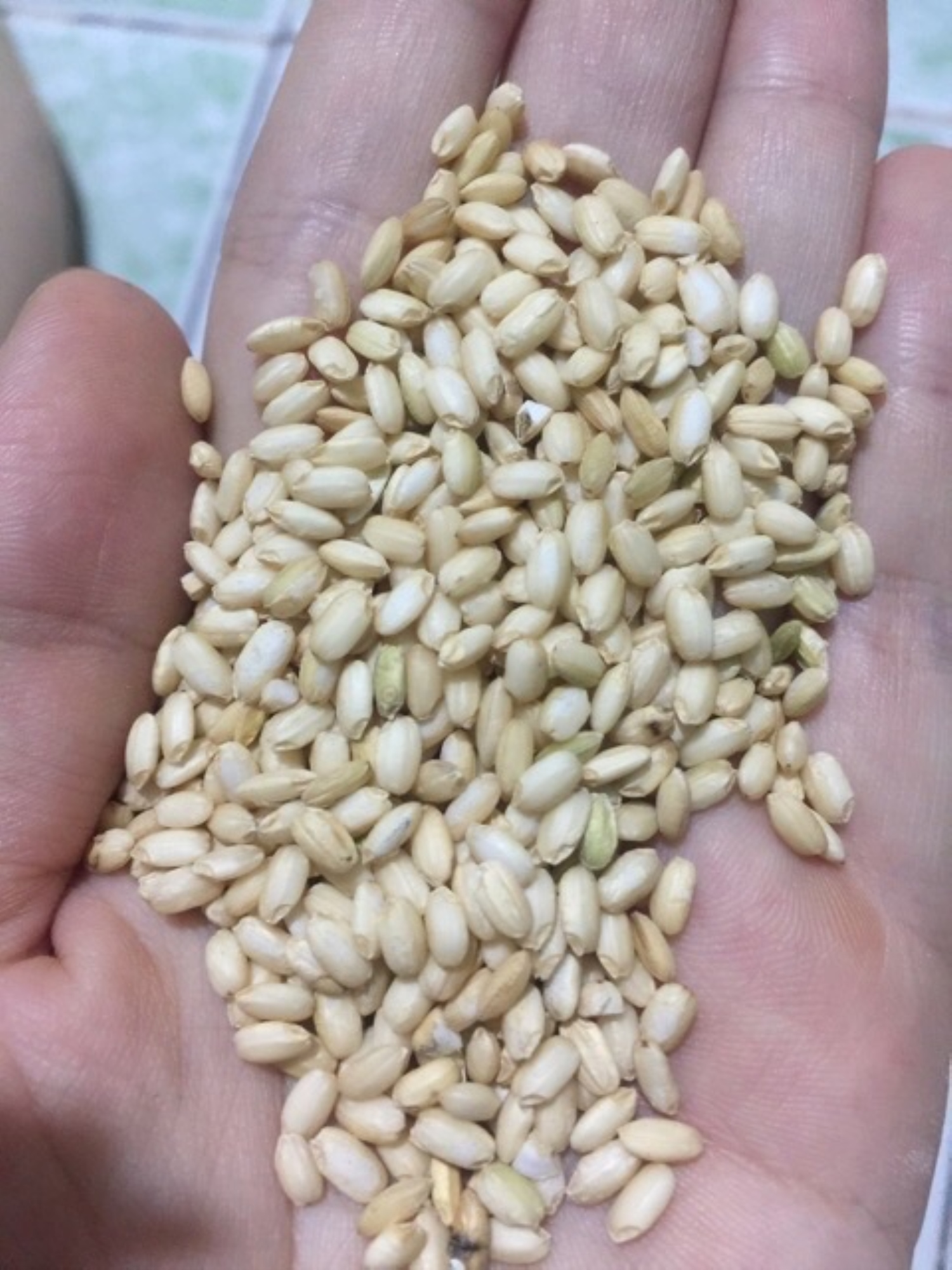 Gạo lứt nếp hoa vàng 1kg