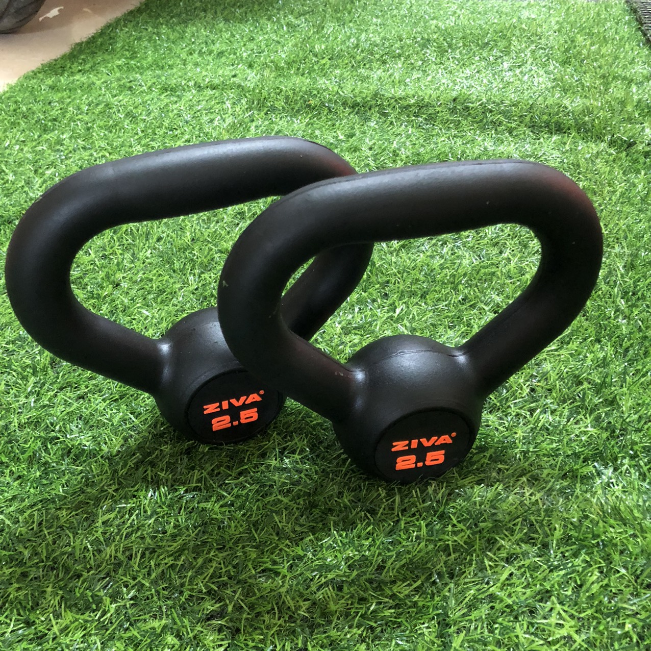 TẠ ẤM CAO SU 12.5 KG