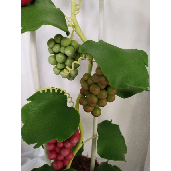 Chậu nho đất sét cao 42cm