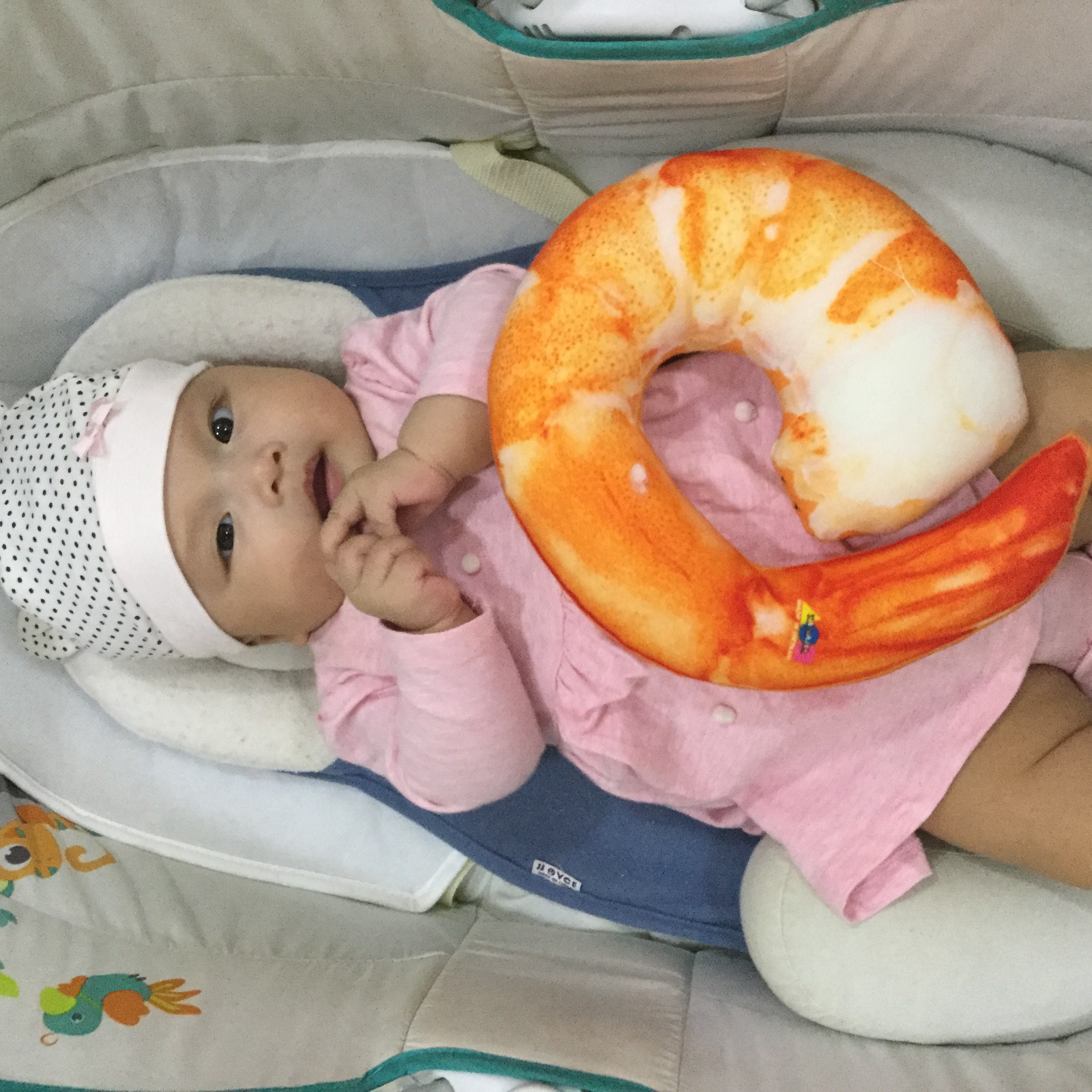 [HCM]Gối ôm 3D cho bé Loại 1  Con Tôm 30cm