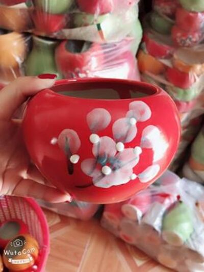 Chậu cây tiểu cảnh