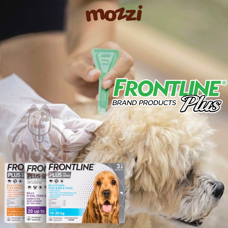Nhỏ gáy trị ve rận bọ chét Frontline Plus cho chó