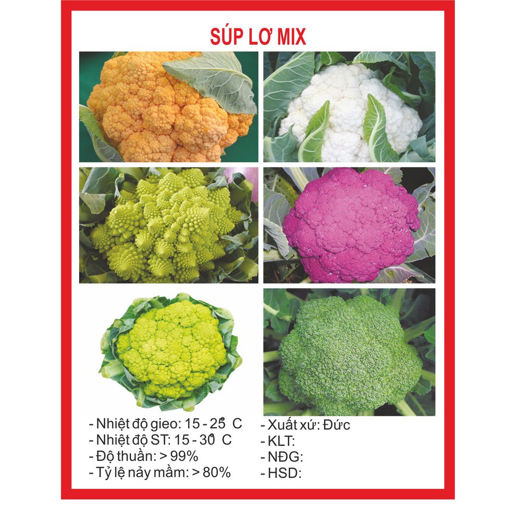 Hạt giống súp lơ mix 20 hạt