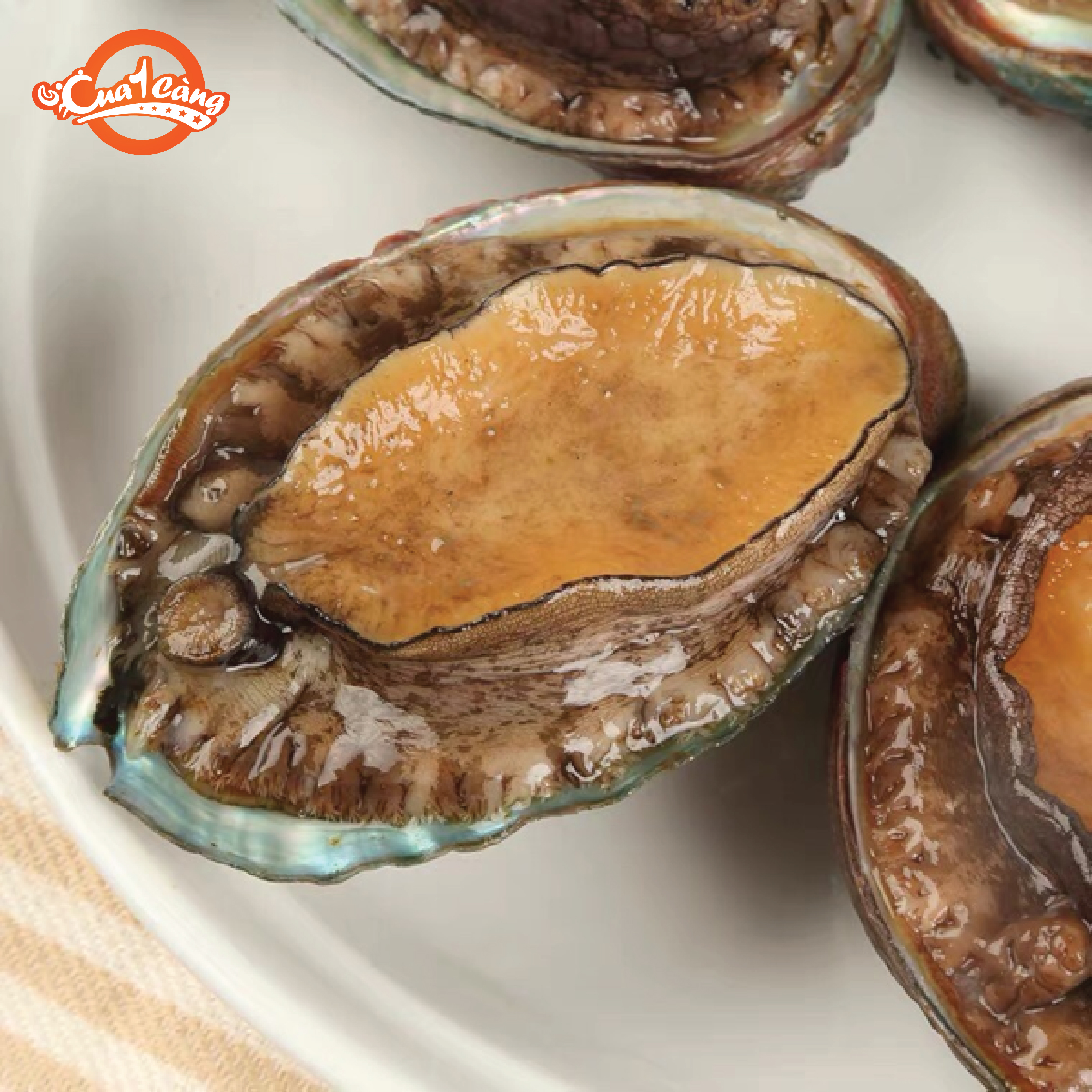 [HCM]Bào Ngư Hàn Quốc - giao nhanh 4h