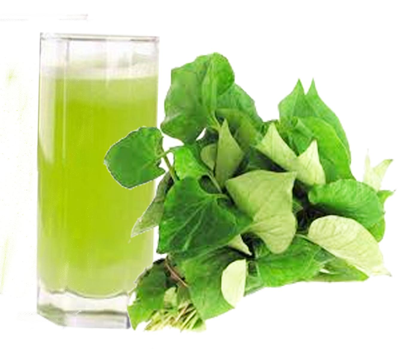 BỘT DIẾP CÁ NGUYÊN CHẤT 50G