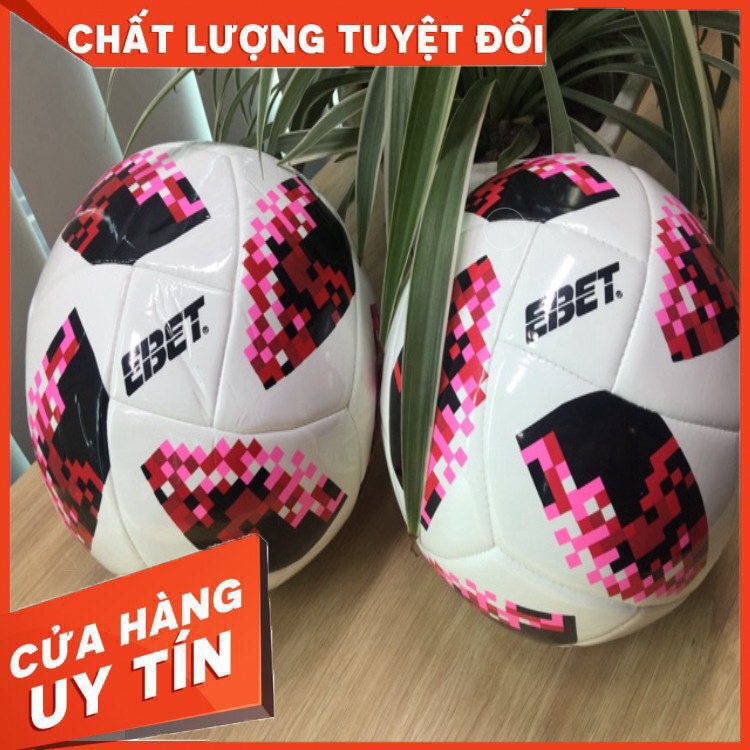 Quả bóng đá Động Lực may số 5 (nhiều màu)
