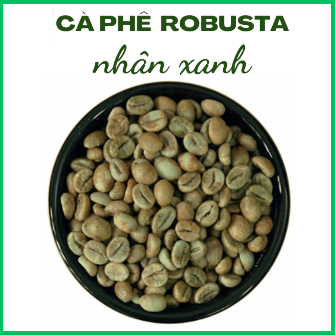 1KG CÀ PHÊ HẠT NHÂN SỐNG CHƯA RANG ROBUSTA NHÂN XUẤT KHẨU