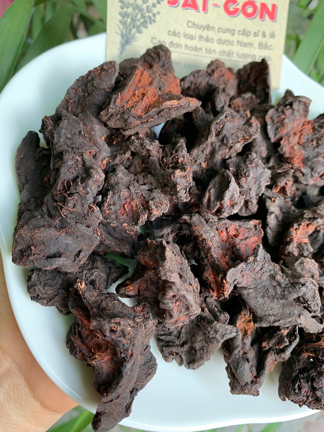 [HCM]Hà Thủ Ô Ông Tiên 100gram