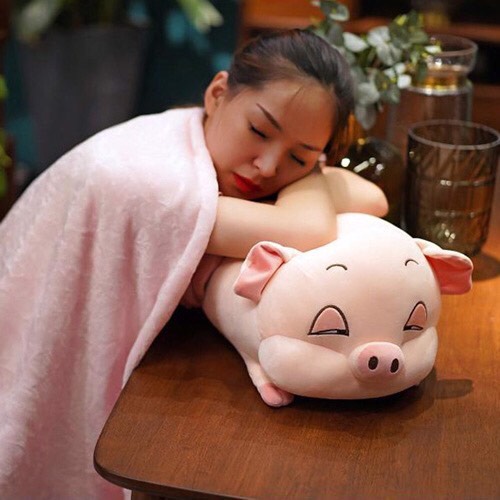 [HCM]Bộ chăn gối văn phòng heo xinh