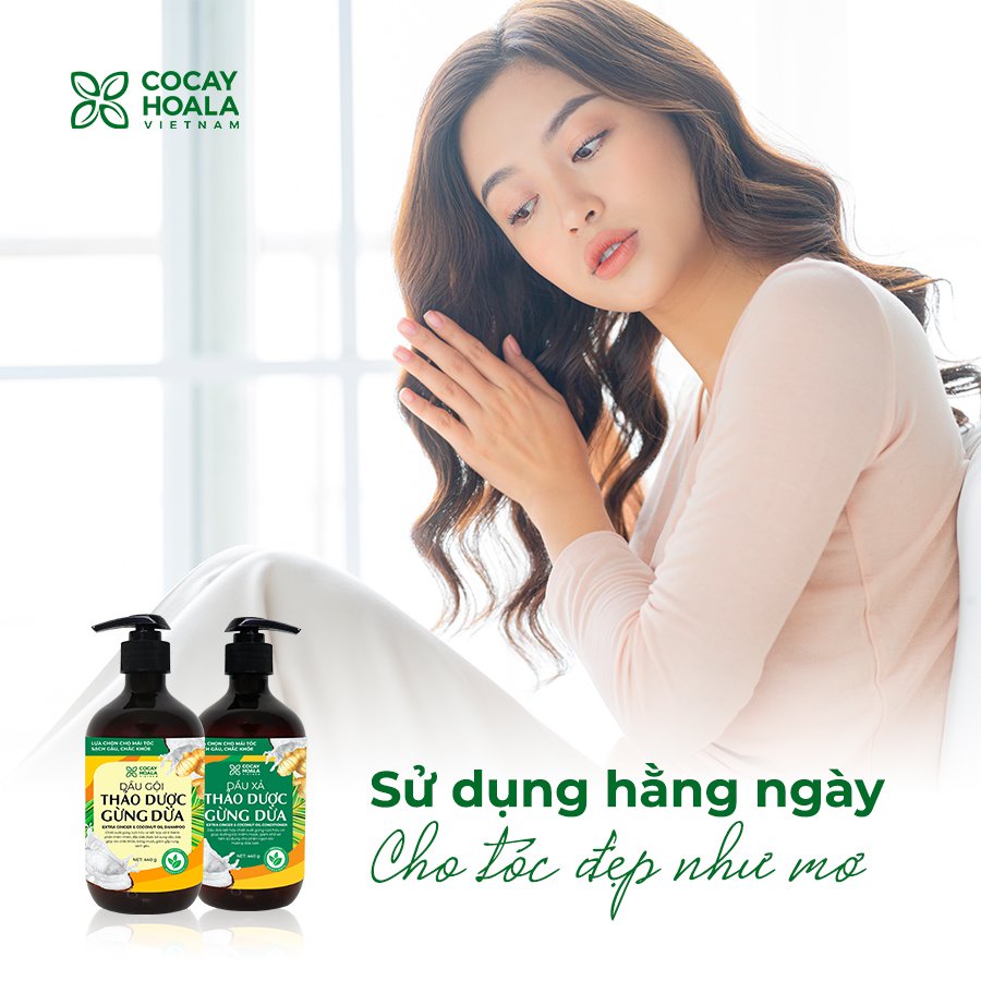 Dầu gội -  xả thảo dược Gừng Dừa