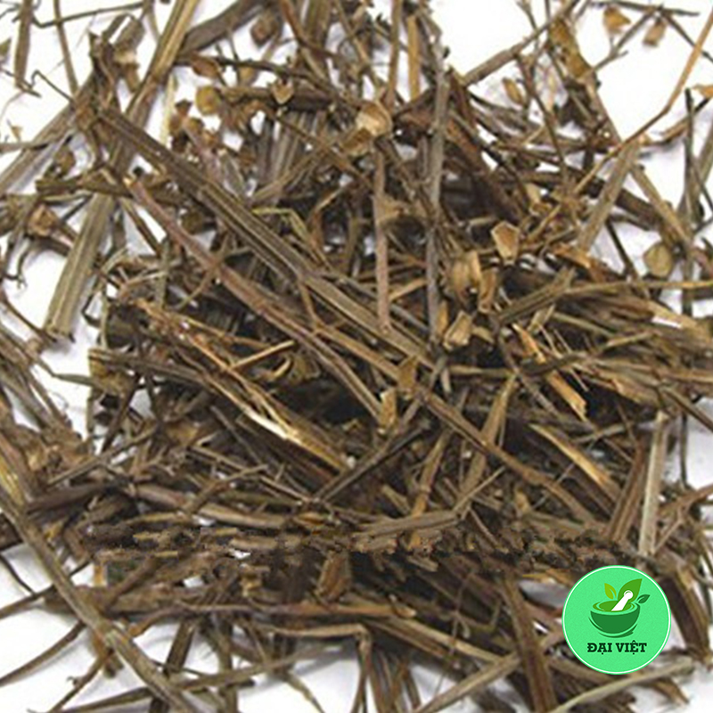 Cây bán chi liên (gói 1kg khô) - DV077