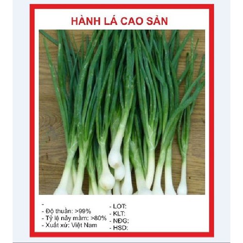 Hạt giống Hành lá cao sản gốc trắng - gói 2gr( 1200 hạt)