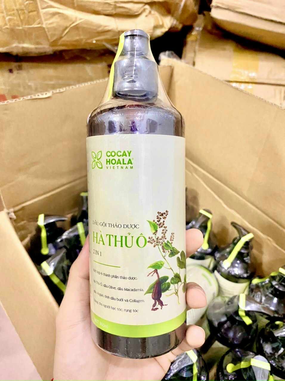 Dầu Gội Thảo Dược Hà Thủ Ô 500ml Cỏ Cây Hoa Lá, Ngăn Rụng Tóc , Kích Mọc Tóc , Phục Hồi Tóc Hư Tổn