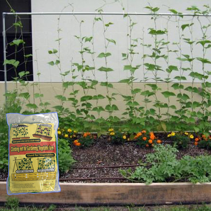 Lưới Làm Giàn Leo Bầu Bí, Mướp, Su Su Và Các Loại Cây Leo Ollie Net