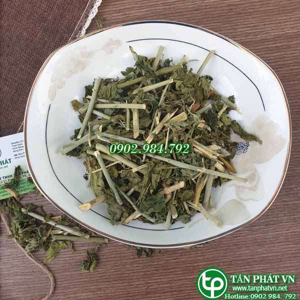 [Túi 1kg giá rẻ] Cây xương khỉ sấy khô 1kg - Thảo Dược Tấn Phát - Chuyên dùng để pha trà và sắc nước uống