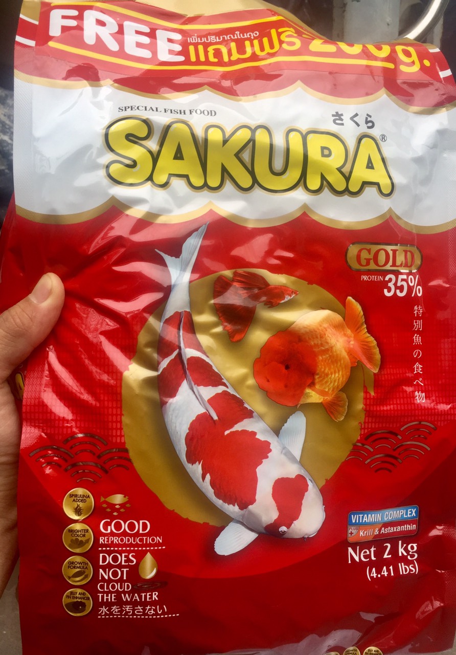 thức ăn cá koi  SAKURA GOLD 2kg hạt lớn 7MM