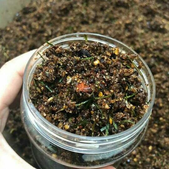 500g hạt dổi rừng