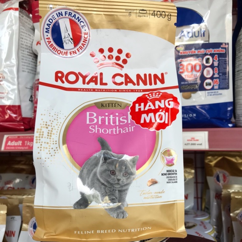 Thức ăn hạt Royal Canin British Shorthair cho mèo Anh Lông Ngắn - mèo con - 2kg