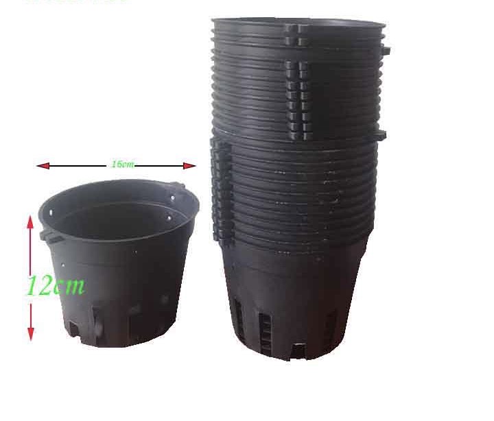 [Giá hủy diệt] bộ 10 chậu chựa trồng lan phi 16