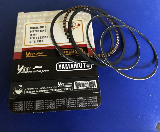 Máy đầm cóc MT72 Robin EH12 Piston, Séc măng, D=60mm