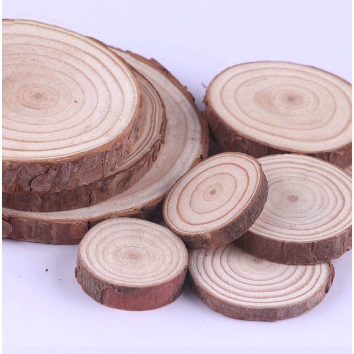 Set 10 miếng gỗ tròn handmade trang trí chụp ảnh