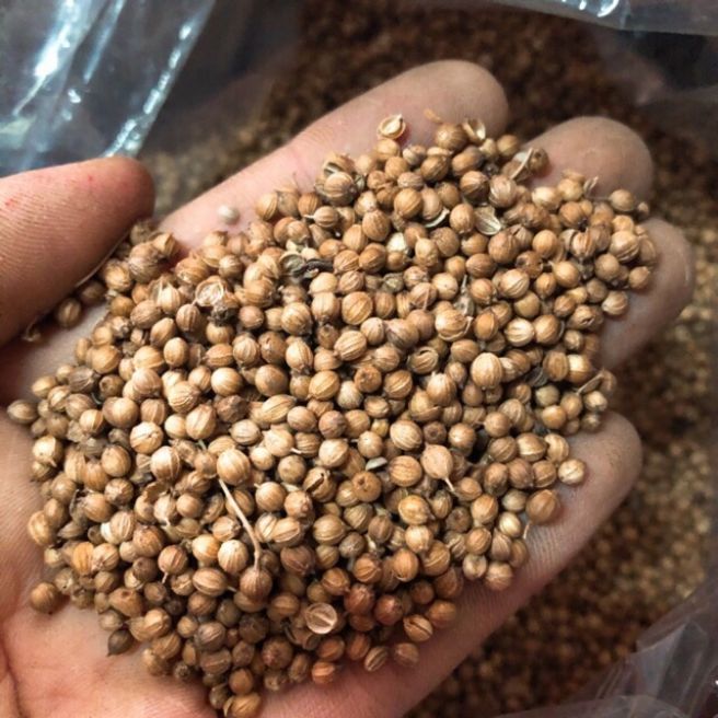 1kg hạt mùi - hạt ngò