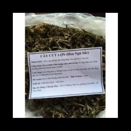 Cây cỏ hôi tươi (cây cứt lợn 1-2kg)