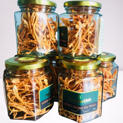 Đông Trùng Hạ Thảo khô 10g