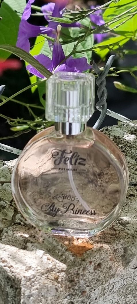 Nước hoa mini Feliz Premium 25ml