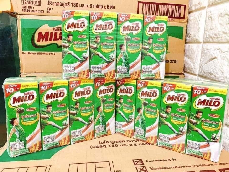 Milo Thái