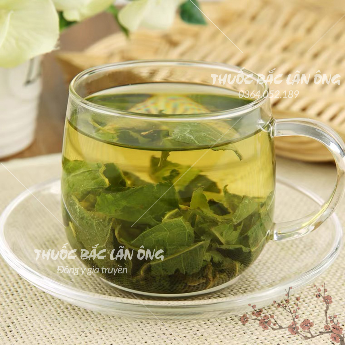 Trà lá sen non sấy lạnh 100g (Lá sen vo viên, búp sen non) - Thuốc Bắc Lãn Ông
